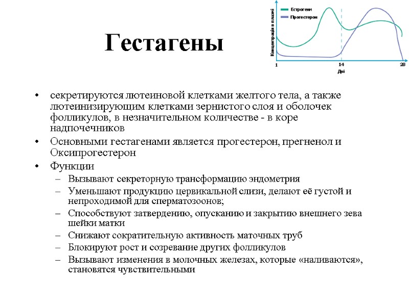 Гестагены секретируются лютеиновой клетками желтого тела, а также лютеинизирующим клетками зернистого слоя и оболочек Гестагены секретируются лютеиновой клетками желтого тела, а также лютеинизирующим клетками зернистого слоя и оболочек